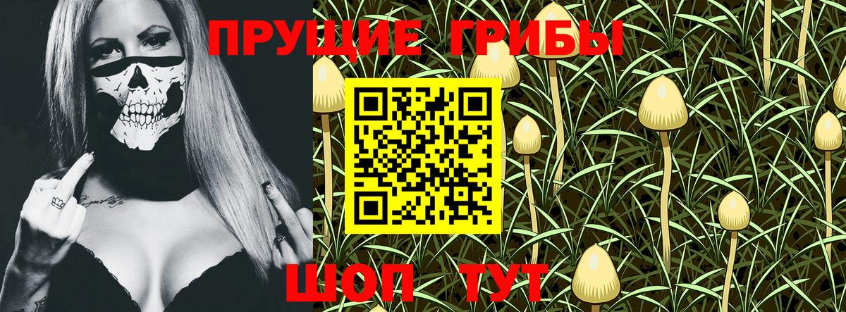 Корсаков  Псилоцибиновые грибы MAGIC MUSHROOMS  Псилоцибиновые грибы Psilocybine cubensis  Вход с VPN 