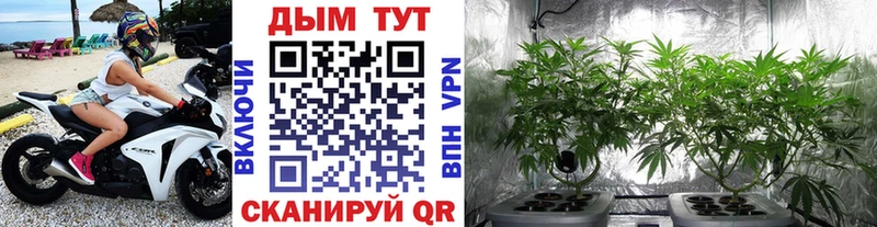 Канабис Amnesia  Корсаков 